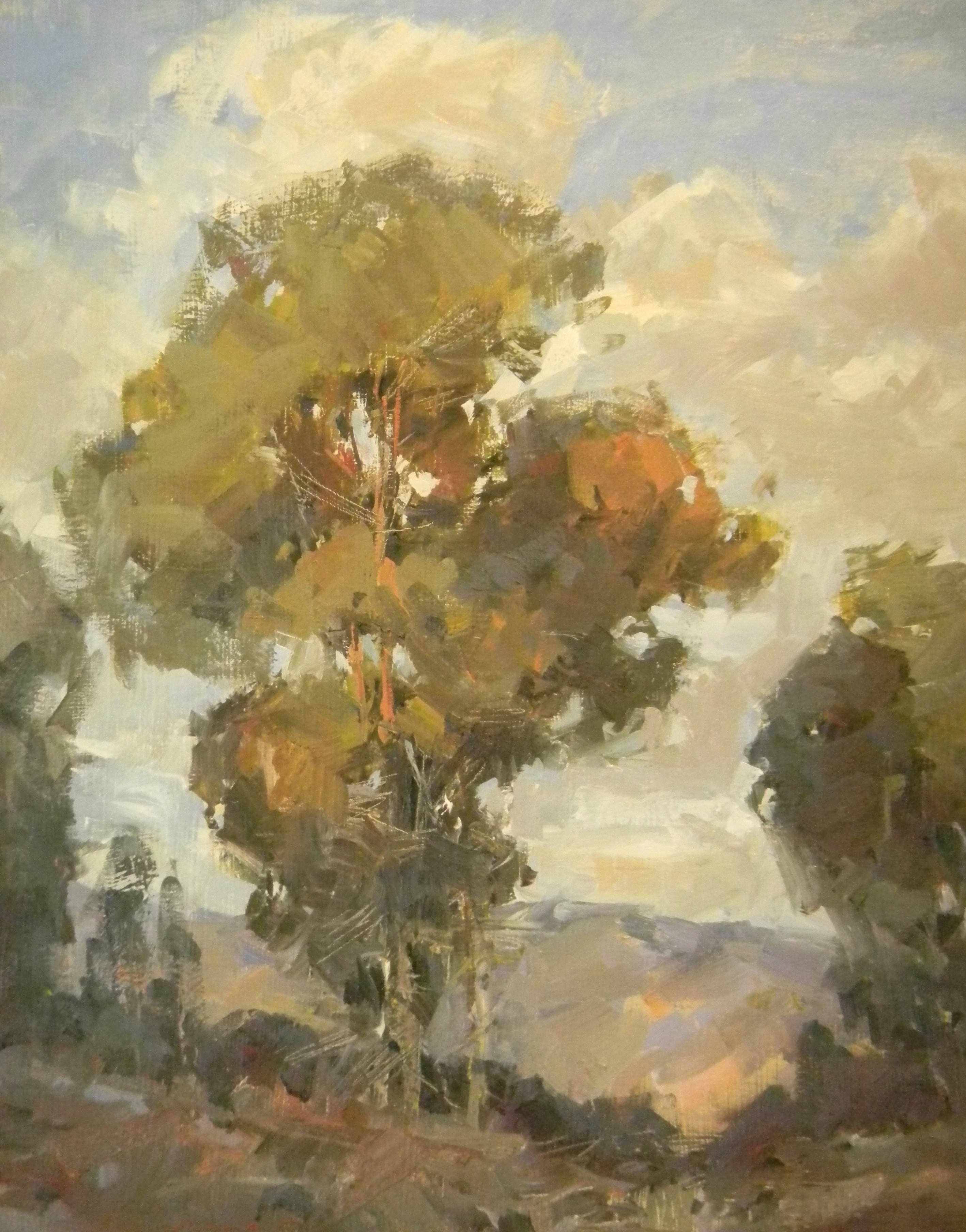 Steve Songer - Trees
